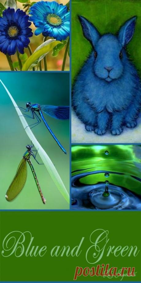 ЦВЕТОТЕРАПИЯ ВОССТАНОВЛЕНИЯ ЗРЕНИЯ
- Цветотерапия при астигматизме
- Цветотерапия при амблиопии (слабовидение, ленивый глаз)
- Цветотерапия при астенопии
- Цветотерапия при пресбиопии
- Цветотерапия при синдроме сухого глаза (сухой кератоконъюнктивит)
- Цветотерапия при патологии зрительного нерва и сетчатки