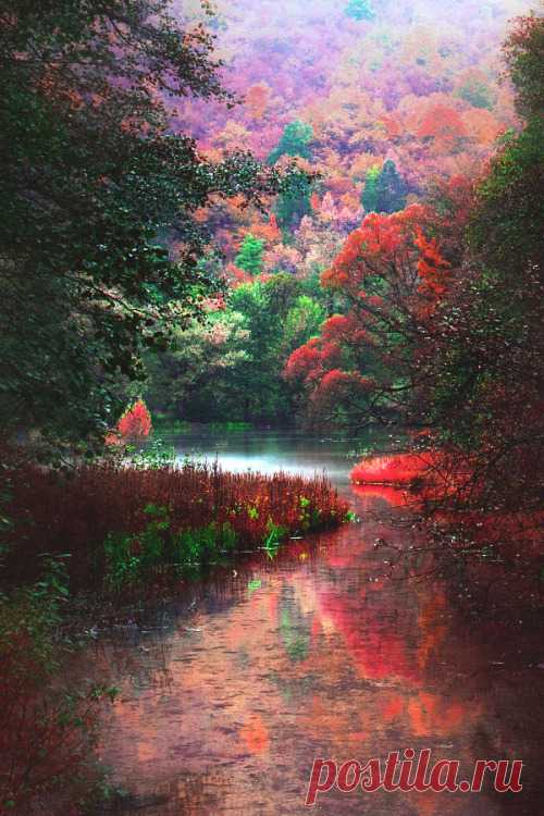 WIPACA (lsleofskye: View of River | Mevludin Sejmenovic)