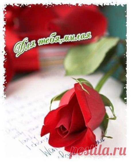 Дневник Виктор_Варкентин