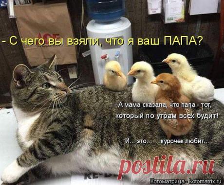 Новости