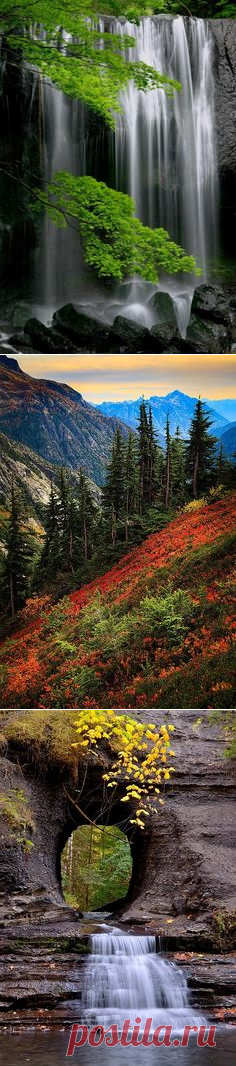 (18) Pinterest