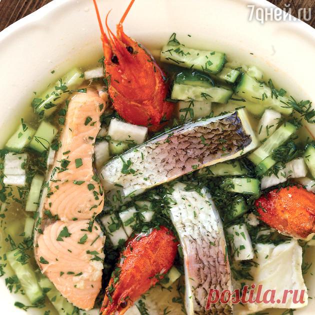 «Щучина»: рецепт русского холодного супа от Влада Пискунова - 7Дней.ру