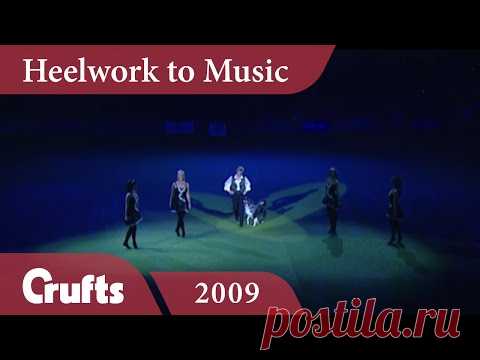 Heelwork To Music - Mary Ray's 2009 Performance | Crufts Dog Show