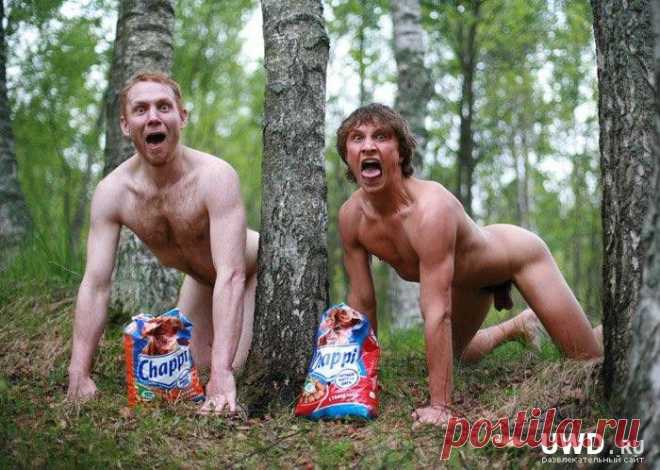 самые красивые пары российского кино: 65 тыс изображений найдено в Яндекс.Картинках