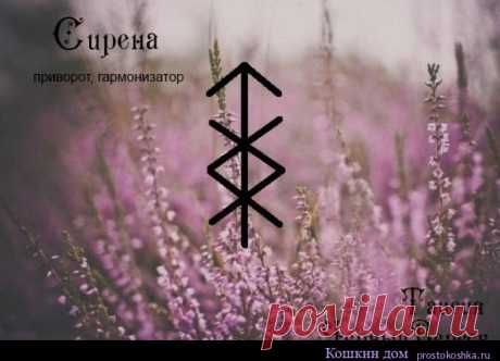 Сирена (приворот, гармонизатор) | Кошкин дом