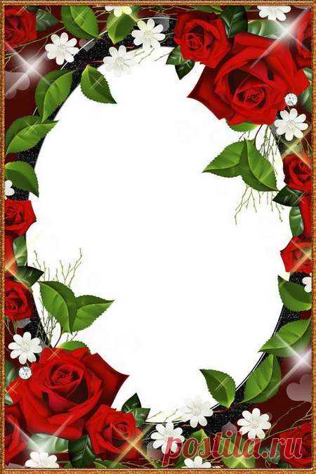 Pink rose photo frame collage psd download. Transparent PNG Frame, PSD Layered Photo frame template, Download.