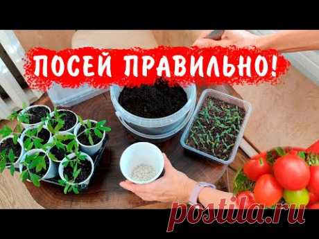 ХОТИТЕ ХОРОШИЙ УРОЖАЙ? ПОСЕЙТЕ ПРАВИЛЬНО ТОМАТЫ!!!