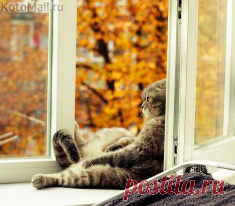 Проветривание