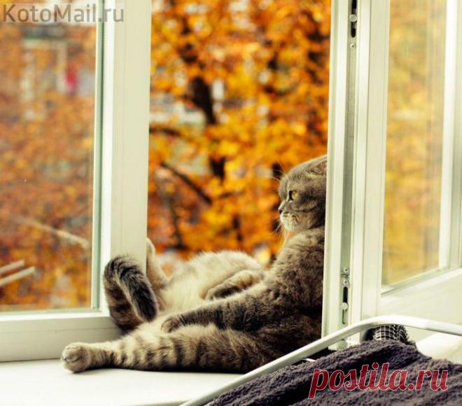 Проветривание