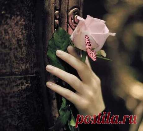 Позови меня тихо по имени…я услышу, даже за стенами…
Этот воздух мне шлёт каждый день отголосок мечты…
Мы с тобой навсегда…нам не стать в этой жизни изменами…
Мы срослись…мы друг в друге…есть Мы, но не я и не ты…

Мы – две капельки льда, что не могут не таять от ласки…
И скучать друг без друга нам адские тысячи лет…
Даже если закончится жизнь…оглядевшись, с опаской…
Мы пойдём друг за другом…чтоб только услышать «привет»…

Позови…я приду…я пройду сквозь любые стенанья…
Целы...
