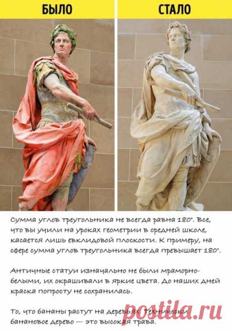 Мифы, которые давно пора было развеять