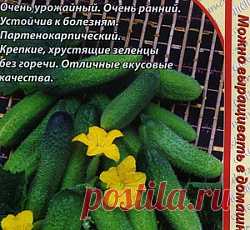 Огурец Куча мала F1 семена - низкая цена, описание, отзывы, продажа