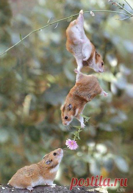 Мужская солидарность.