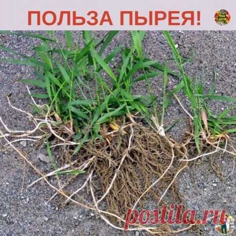 ПЫРEЙ. | OK.RU
