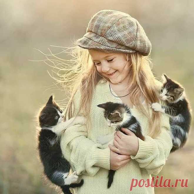 Как важно знать,
что ты кому -то нужен....
------------------------------