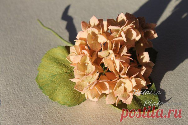 Гортензия из фоамирана - Рукоделие