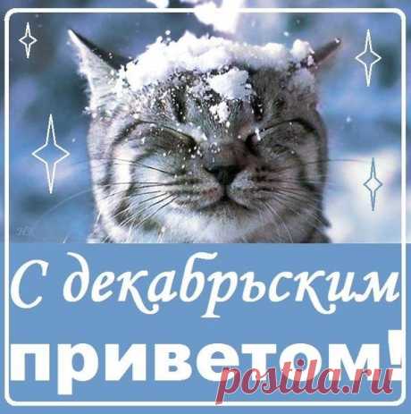 Фаина Шевченко - Сообщения / в Кругу Друзей - социальная сеть