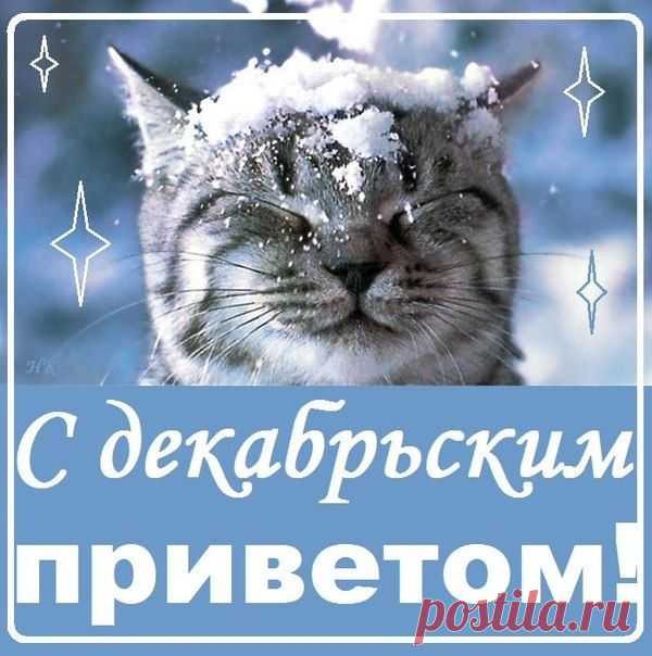 Фаина Шевченко - Сообщения / в Кругу Друзей - социальная сеть