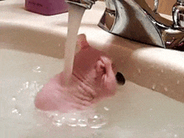 Time Bath GIF - Find & Share on GIPHY Discover & share this Time GIF with everyone you know. GIPHY is how you search, share, discover, and create GIFs.