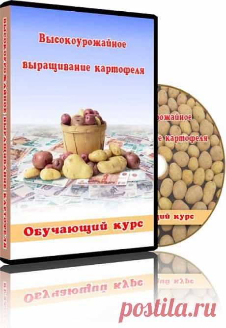 Выcокоурожайное выращивание картофеля