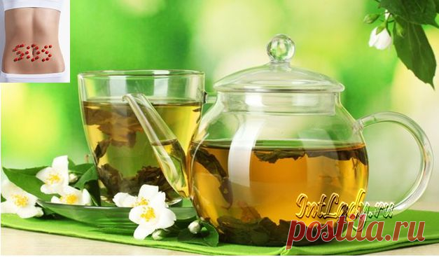 Правила для поддержки организма | Советы для женщин