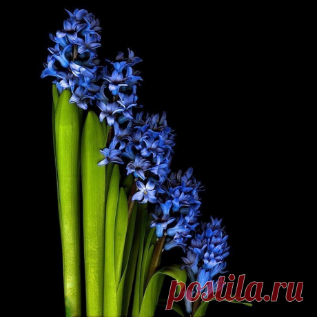 Будь всегда со мной... ~ Плэйкасты ~ Beesona.Ru