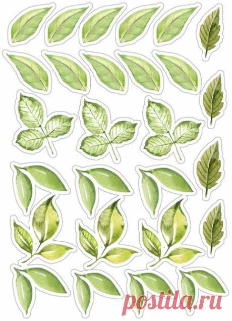 (115) Pinterest