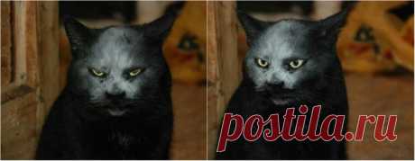 Когда исчадие ада помогает готовить пирожки