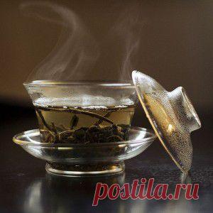 5 неоспоримых доводов раскрывающих всю пользу зелёного чая.