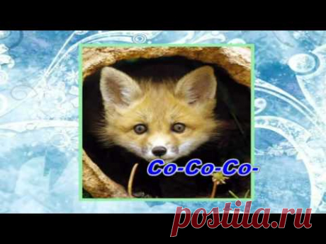 Лиса-логопедические распевки-www.logolife.ru.mp4