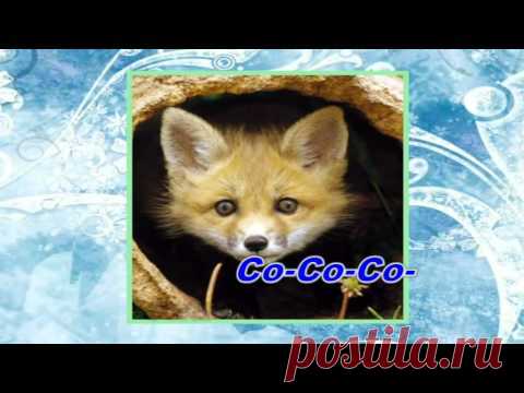 Лиса-логопедические распевки-www.logolife.ru.mp4