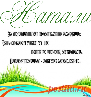 Смешная пауза! -  Статусы Анекдоты и Смех да и только! - Информационно - развлекательный портал.
