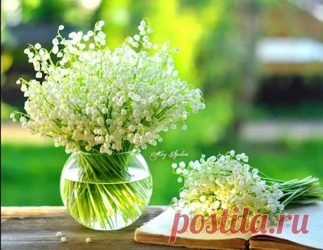 Тайна белых ландышей - история любви Ивана Айвазовского &amp;raquo; Женский Мир