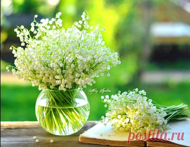 Тайна белых ландышей - история любви Ивана Айвазовского &raquo; Женский Мир