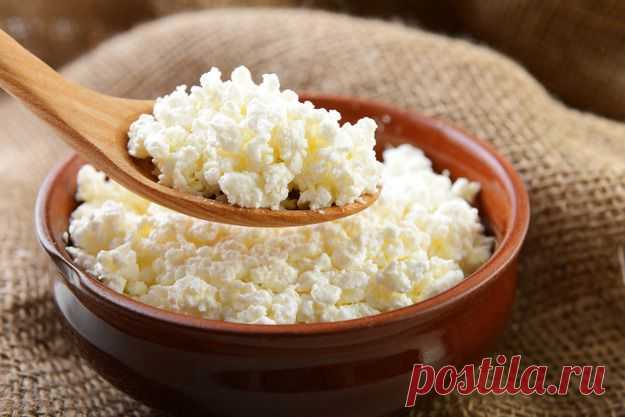 Домашний творог: польза и преимущества - KitchenMag.ru