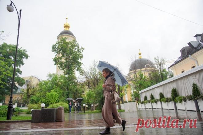 «Это предопределено». Климатолог Кокорин предрек ежегодные потопы и жару. В наихудшем положении окажется юг Европейской части России. Не Арктика и не юг Сибири, как иногда говорят, а Нижнее Поволжье, Калмыкия, Ставрополье, Краснодарский край.