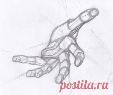 Рисуем руки