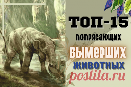 🔥 Топ-15 потрясающих вымерших животных: тигр-волк, стрекоза-убийца, живой пылесос, рогатый суслик и другие
👉 Читать далее по ссылке: https://lindeal.com/rating/top-15-potryasayushchikh-vymershikh-zhivotnykh-tigr-volk-strekoza-ubijca-zhivoj-pylesos-rogatyj-suslik-i-drugie