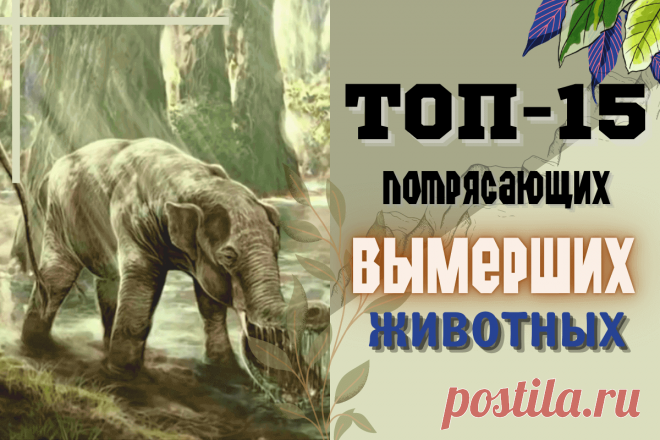 🔥 Топ-15 потрясающих вымерших животных: тигр-волк, стрекоза-убийца, живой пылесос, рогатый суслик и другие
👉 Читать далее по ссылке: https://lindeal.com/rating/top-15-potryasayushchikh-vymershikh-zhivotnykh-tigr-volk-strekoza-ubijca-zhivoj-pylesos-rogatyj-suslik-i-drugie