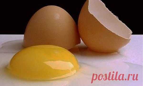 Зоя Пестова