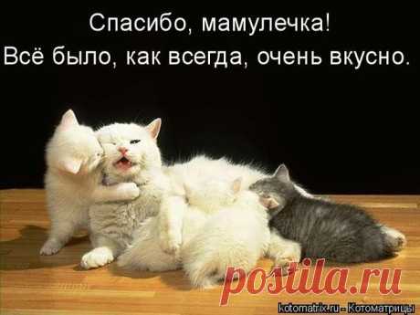 Мыслишки