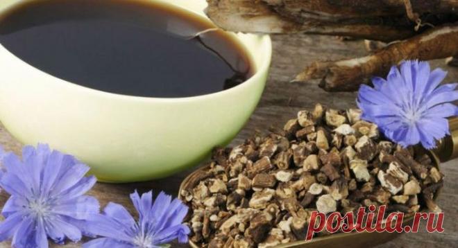 Цикорий — растение, способное помочь человеку очистить организм от шлаков и токсинов, наполнить силой, энергией и красотой