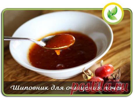 Здоровье от Природы