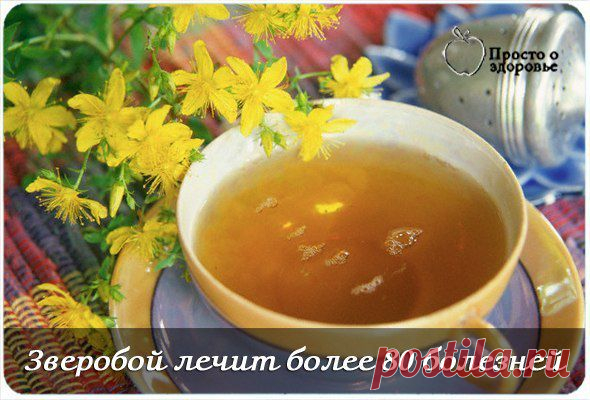 Зверобой лечит более 80 болезней - народная медицина | Женский журнал