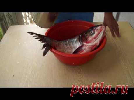 Как легко и просто почистить рыбу
