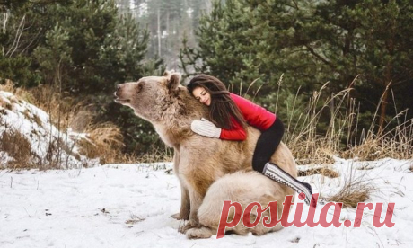 Фотосессия австрийской гимнастки с бурым медведем стала яблоком раздора в Интернете 

В дикой природе встреча с бурым медведем может оказаться роковой. Эти мишки по своей натуре — одиночки, поэтому с большой неохотой воспримут желание человека завести с ними дружбу.
Но для 24-летней …