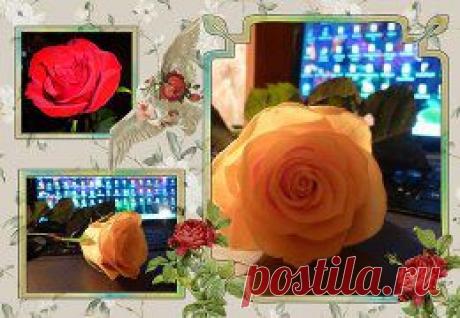 (99) Одноклассники