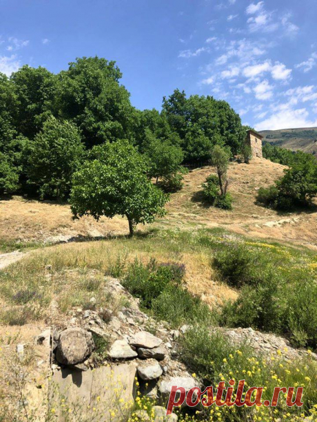 Օրը սկսենք Սասունից ❤ Գելիգյուզան գյուղի Թուխ Մանուկ եկեղեցին
Gelieguzan Village in Sasoun.