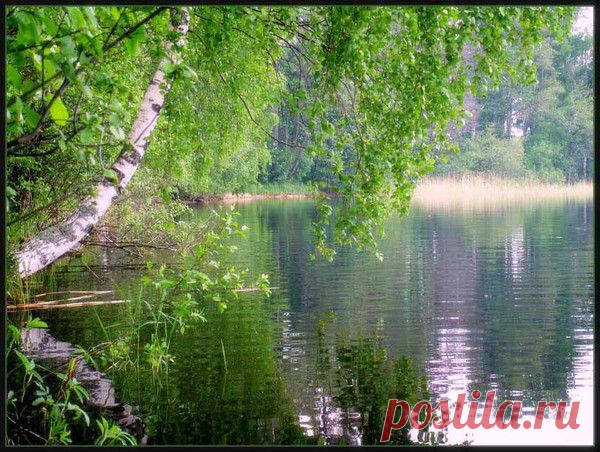 Мой Мир@Mail.Ru