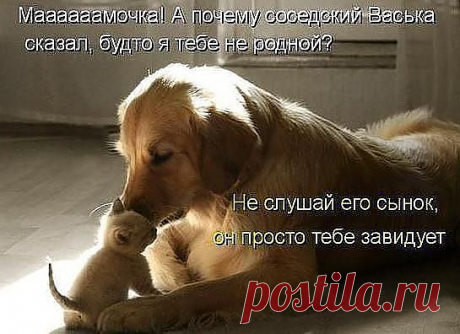 (48) Одноклассники
